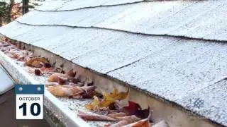 Do Leaves Clog Alu-Rex Gutter Guards? [October Time-Lapse]