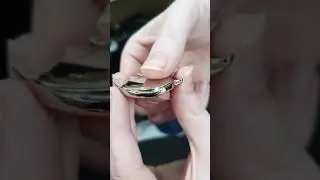 Removing a case back