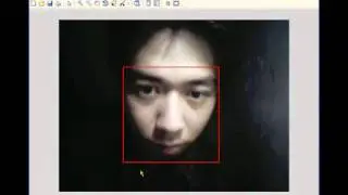 Face Tracking
