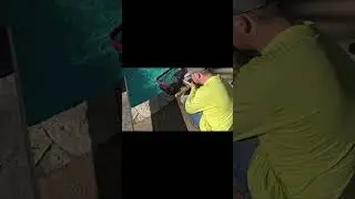 Post leaf fall winter pool clean with backwash full video