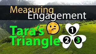 Measuring Social Engagement for your Triangle Profile of Tara&rsquo;s Triangle Personality Type