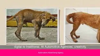 Automotive Advertising Agency