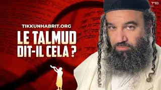 Le Talmud Dit-Il… ? Un Rabbin Répond Avec Une Franchise Brutale