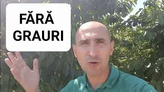 Am speriat graurii! METODE SIMPLE