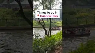 Things to do in Cubbon Park Bangalore #shorts #cubbonpark #bengaluru