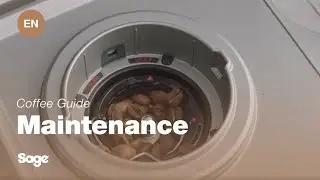 The Oracle&trade; Touch | Cleaning grinder conical burrs: our 6-step guide | Sage Appliances EN