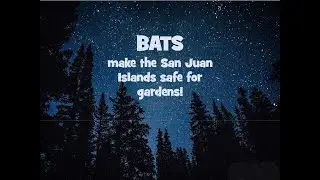 Garden Club 3/17/21 - 