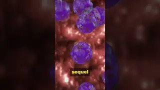 Immune Response: A Tale of Cells