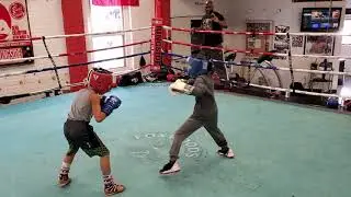 Josh sparrs Leo Jan 11, 2020