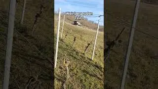 Weinberg roden! Rebholz h&auml;ckseln. #agriculture #winzerhofmann #weinberg #bio #biodiversity #winzer