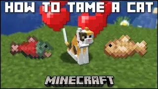Minecraft &mdash; Как приручить кошку в режиме выживания