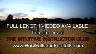 SNEAK PEEK of The Intuitive Instructor Sample Lesson Library (Dismount)