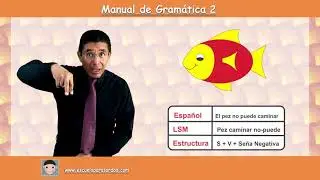 Tema 6 Negaciones