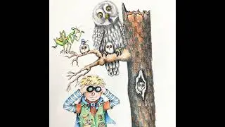 Great Gray Owls: the phantom of the north