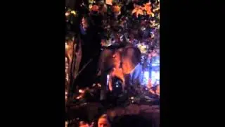 Atlantic city rainforest cafe