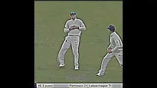 2019 Archer was different breed🔥😭 #jofraarcher#ashes#englandcricket#shortsvideo