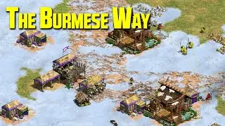 Бирманский карман, монахи и слоны! | Rage Forest