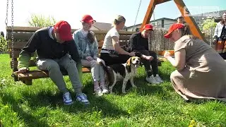 Przez zooterapie do samodzielności os&oacute;b z niepełnosprawnością