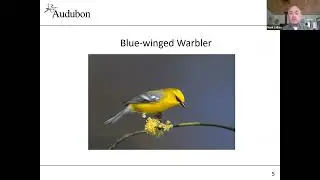 Middlebury VMN Project Mark LaBarr Bird Webinar
