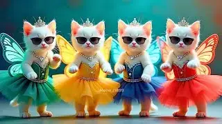 Husky Dance trend😻/ichu ichu🥰#shorts #shortsfeed #huskydance #cutecat #catshorts #catdance #trending
