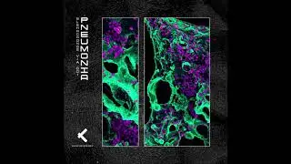 Wunderblock Vs Arcuation - Sauce Monster [BLSHRCRDNGS V/A 001]