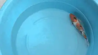 031629