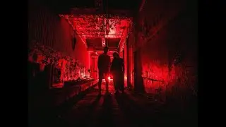Swedish Red Elephant  - Anybody out there? (Official music video)