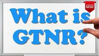 What is the full form of GTNR?