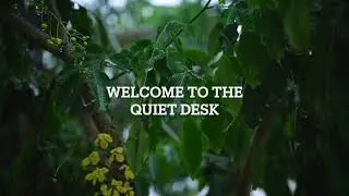 Rain on Leaves for Studying | 2 Hours | Calm Focus Ambience