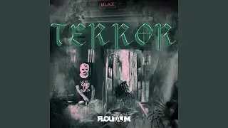 Terror