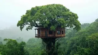 Rain Garden Sounds 🌺 | Peaceful Shower Music for Yoga, Study & Quiet Moments