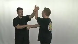 Ip Man Wing Chun Kung Fu