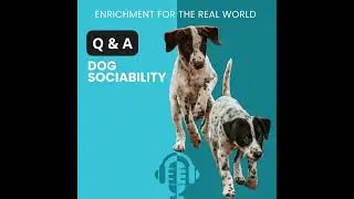 #145 - Q&A: Dog Sociability