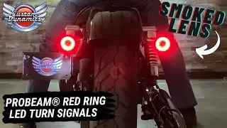 ProBEAM&reg; Rear Red Ring 1157 LED Turn Signals with Smoked Lens