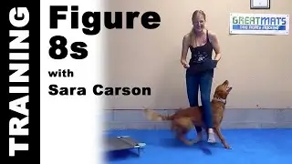 How To Teach Figure 8 Dog Tricks with @Thesupercollies Sara Carson