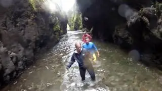 Oneonta Gorge