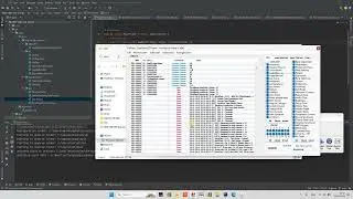 Custom Program for Style Editing