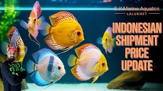 REUPLOADED 2025 Fish Price Shock! 🔥 Albino Arowana & Giant Goldfish | Lalukhet Aquarium Market