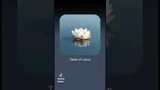 Taste Of Lotus 