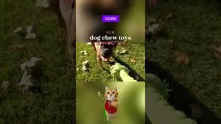 🐶 Benebone 4-Pack &ndash; Durable Chew Toys for Aggressive Chewers!