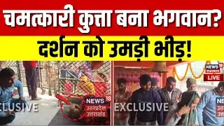 LIVE : Bijnor में 'चमत्कारी' कुत्ता बना भगवान? हजारों लोग दर्शन को पहुंचे...! | UP News |Viral Video