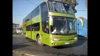 tur bus 2014