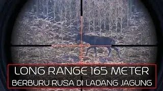 BERBURU RUSA DI LADANG JAGUNG - CABELA'S BIG GAME HUNTER PRO HUNTS