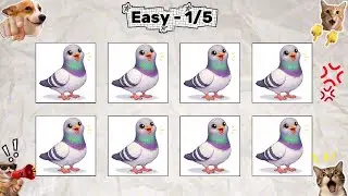 Say The Word on Beat Animal Edition #asmr #rhythmgame #beatgame