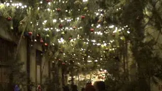 VAZZANO  NATALE  2025  LA  VIA  DEL VISCHIO (By Micuccio Caloiero)