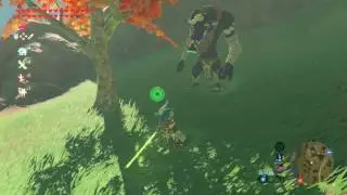 Zelda Breath of the Wild      Moblin Mask   2017 05 15 03 11 21