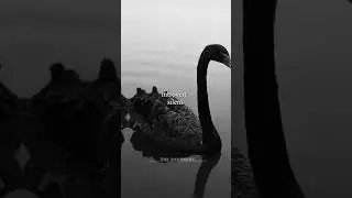 Which one is you? #fypシ゚viral #popular #darkness #aesthetic