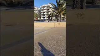 tailwhip &iquest; (urla disumane di gioia)