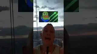BOB up 1,000% as 'ExplainThis Bob' Takes OverTwitter: Is It Next PEPECoin?#crypto#bitcoin#bob #pepe