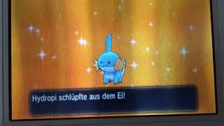 Schillerndes Hydropi nach 126 Eiern!!!